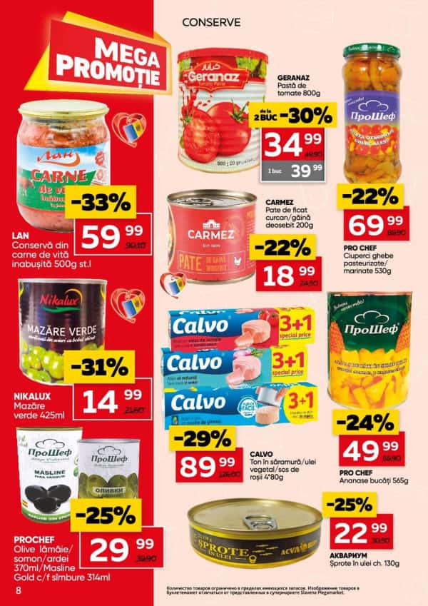 Pagina 8