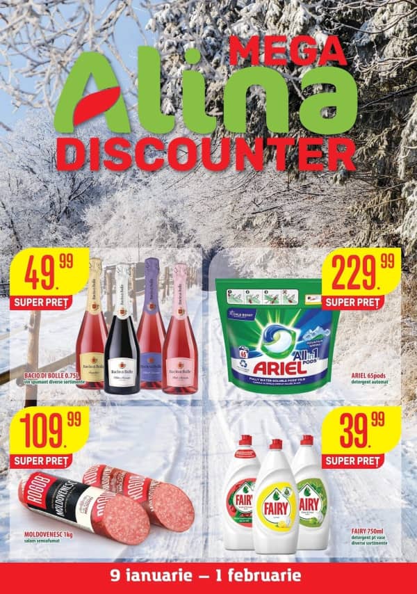 Mega Alina Discounter: Буклет января
