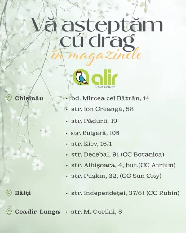 Pagina 12