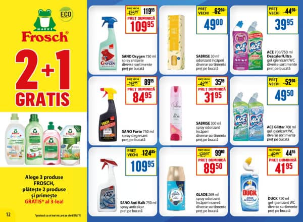 Pagina 12