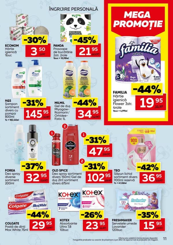Pagina 11