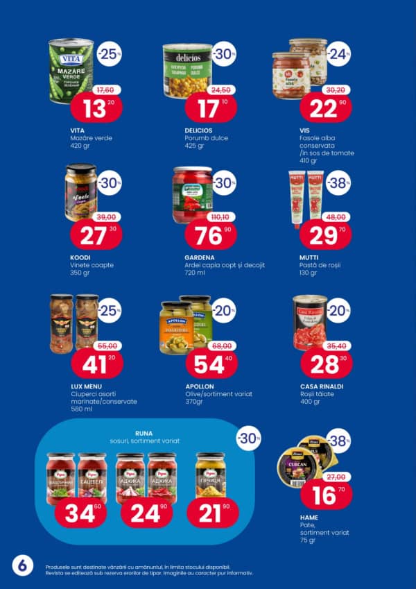 Pagina 6
