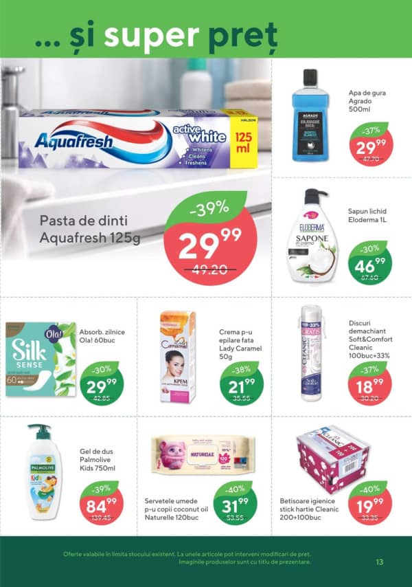 Pagina 13