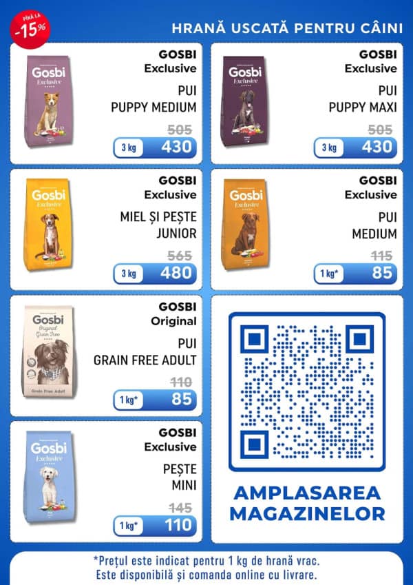 Pagina 6