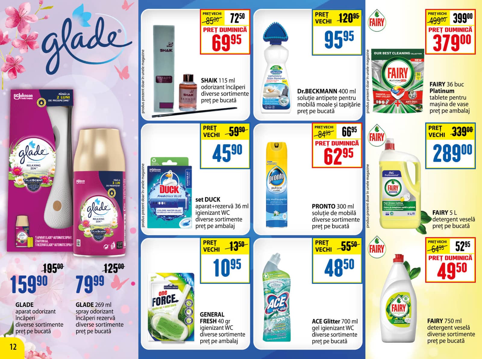 Pagina 12