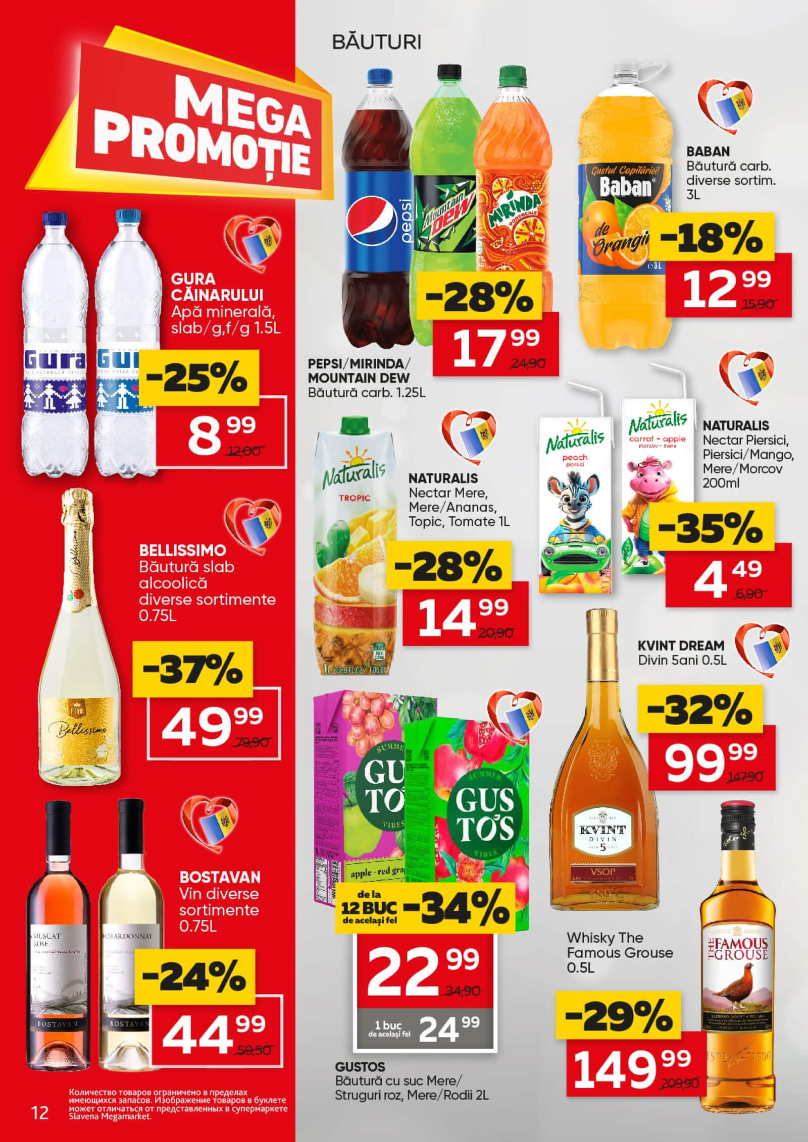 Pagina 12