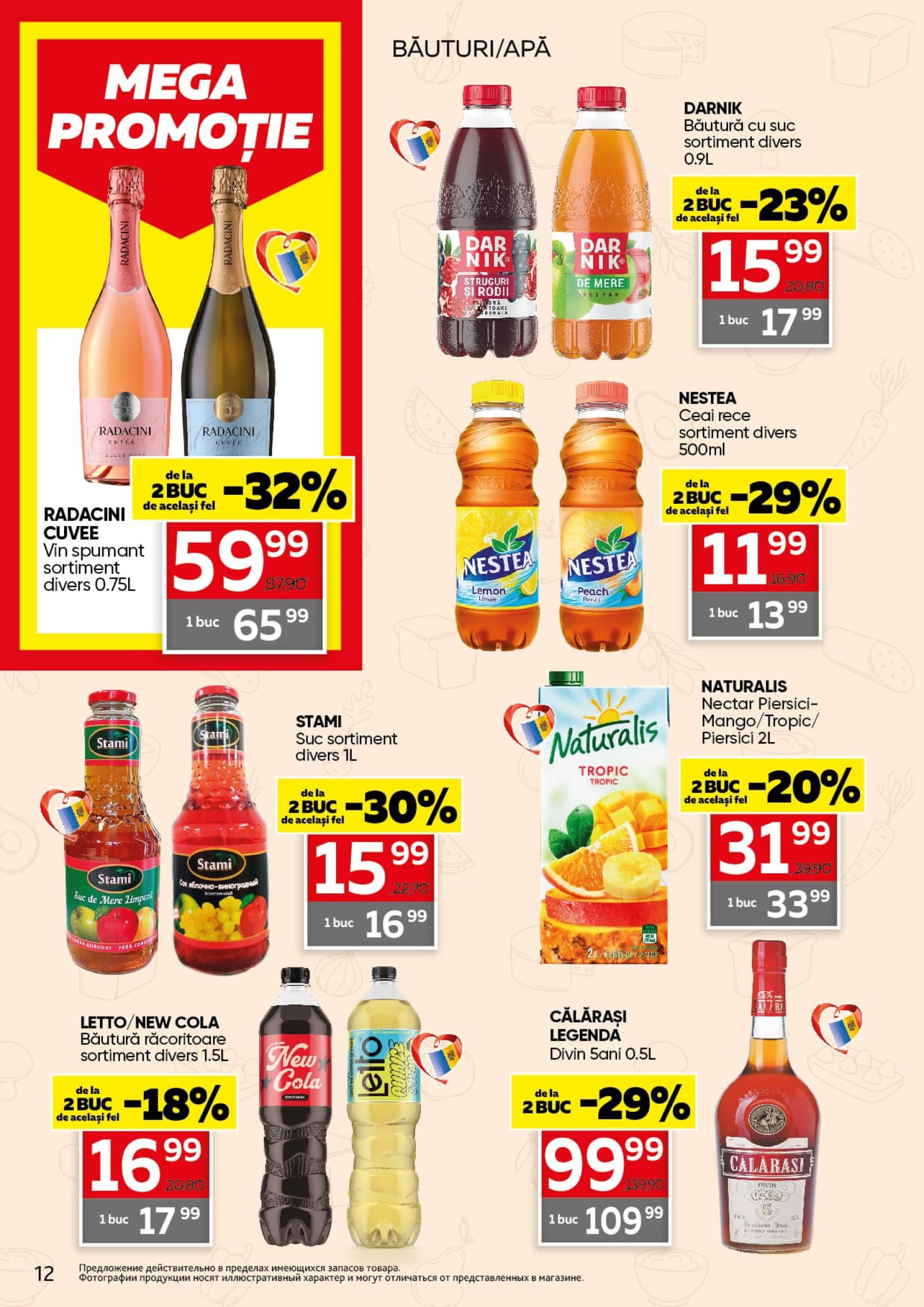 Pagina 12