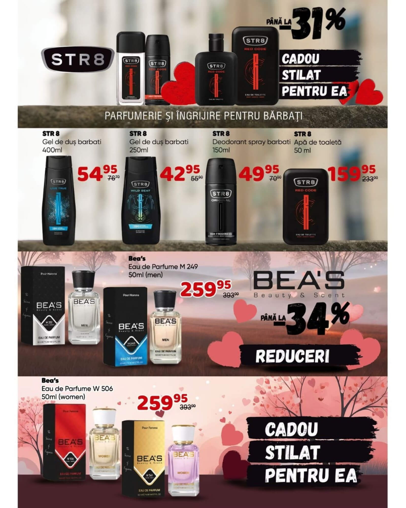 Pagina 6