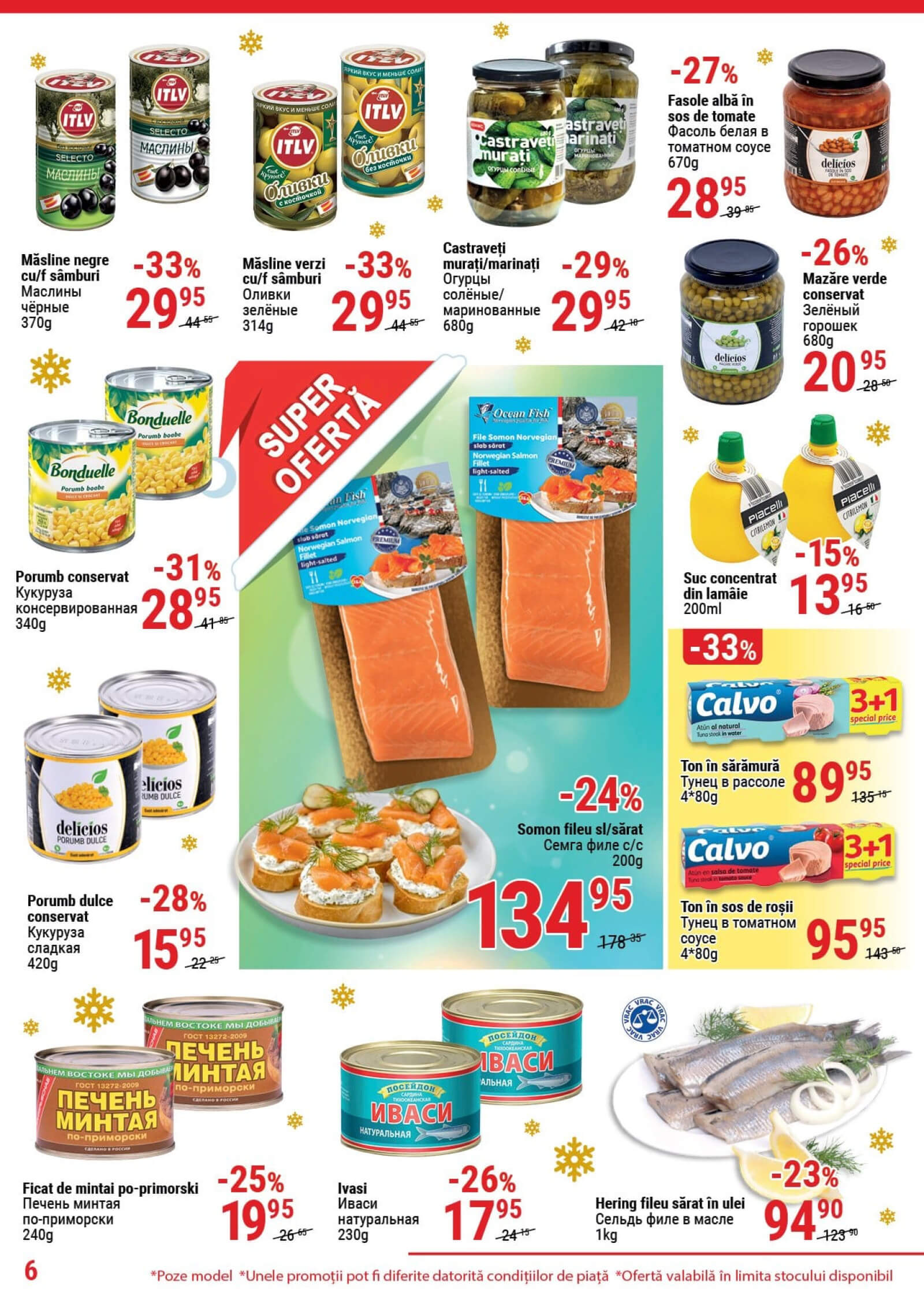 Pagina 6