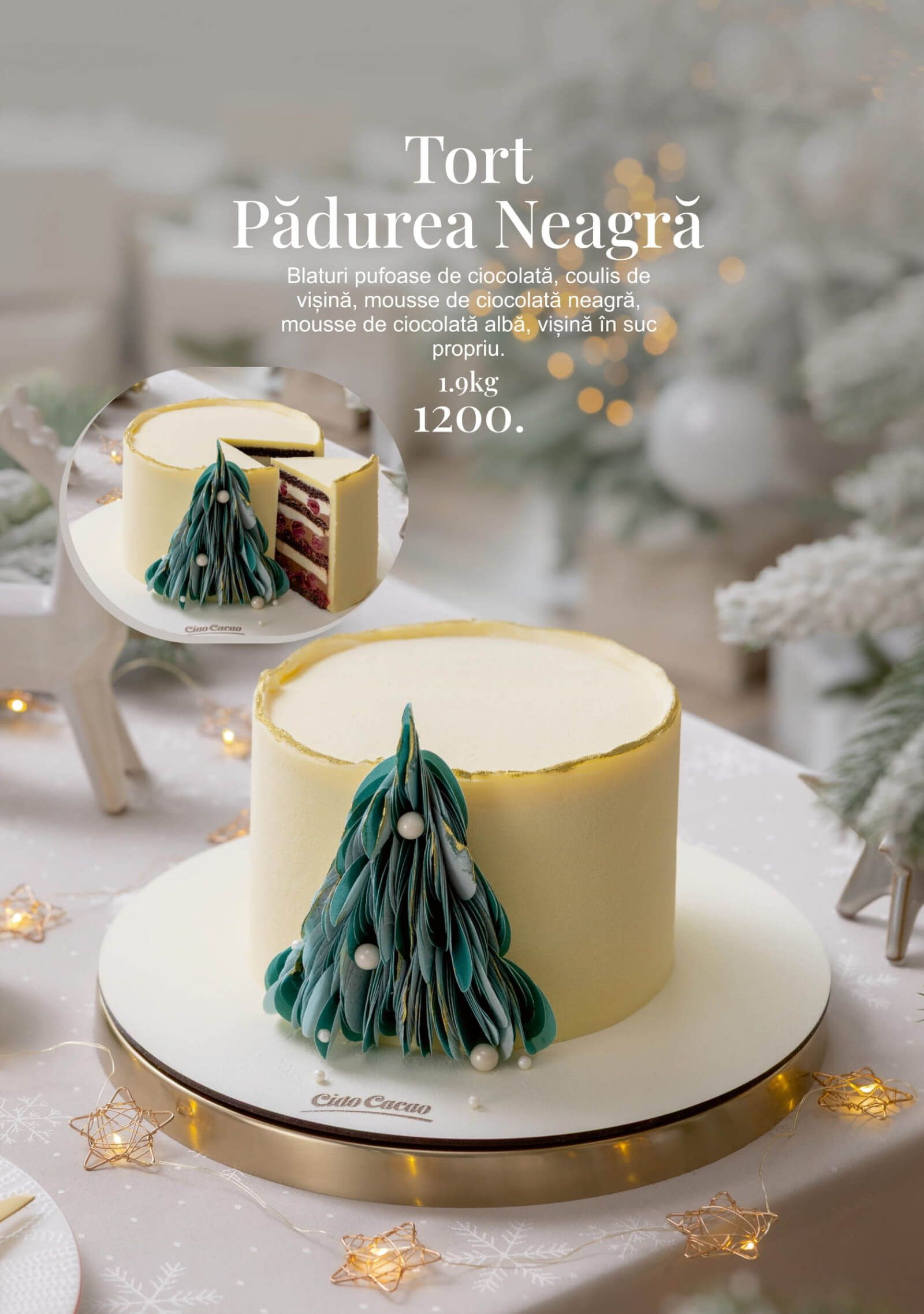 Pagina 6