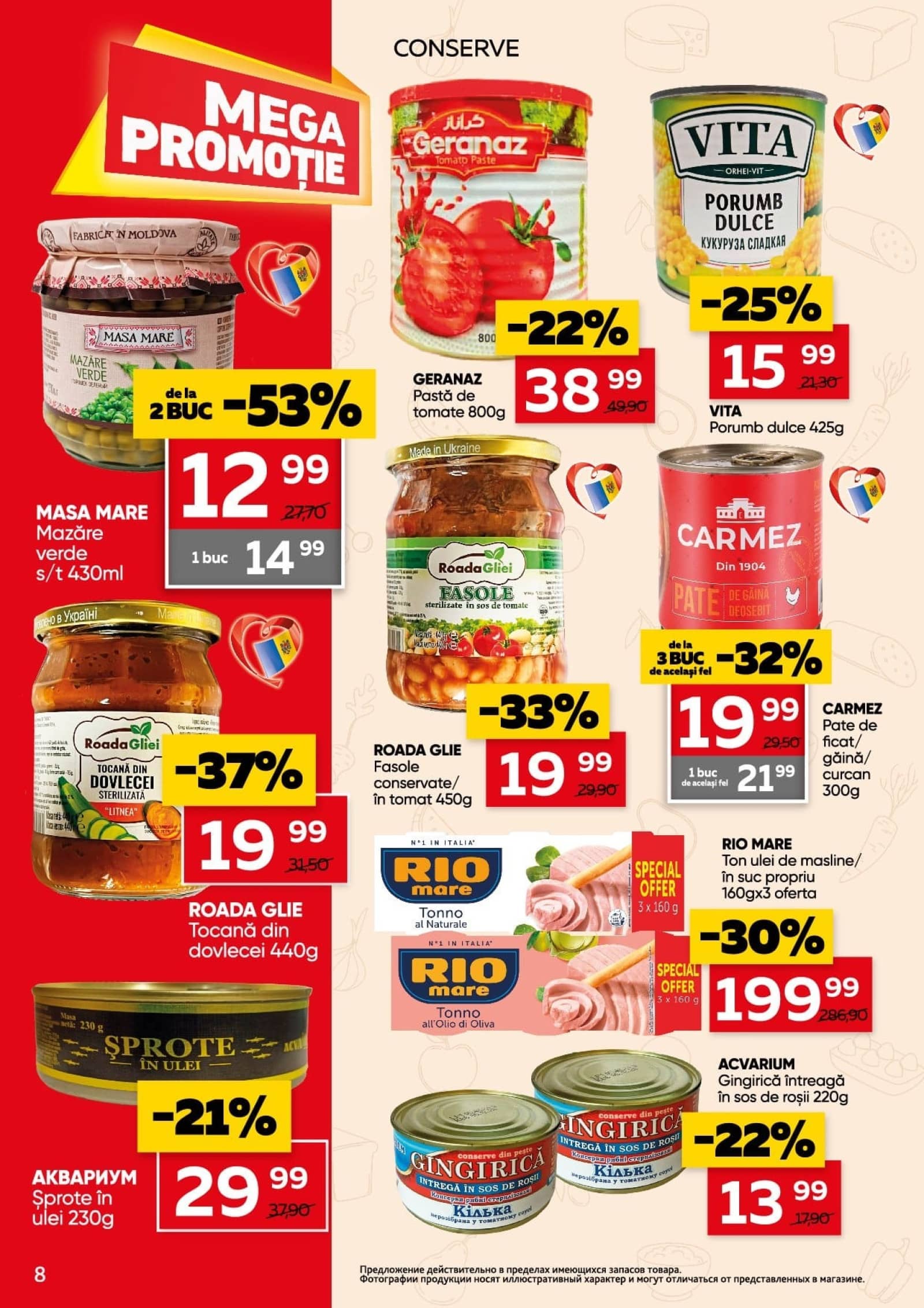 Pagina 8