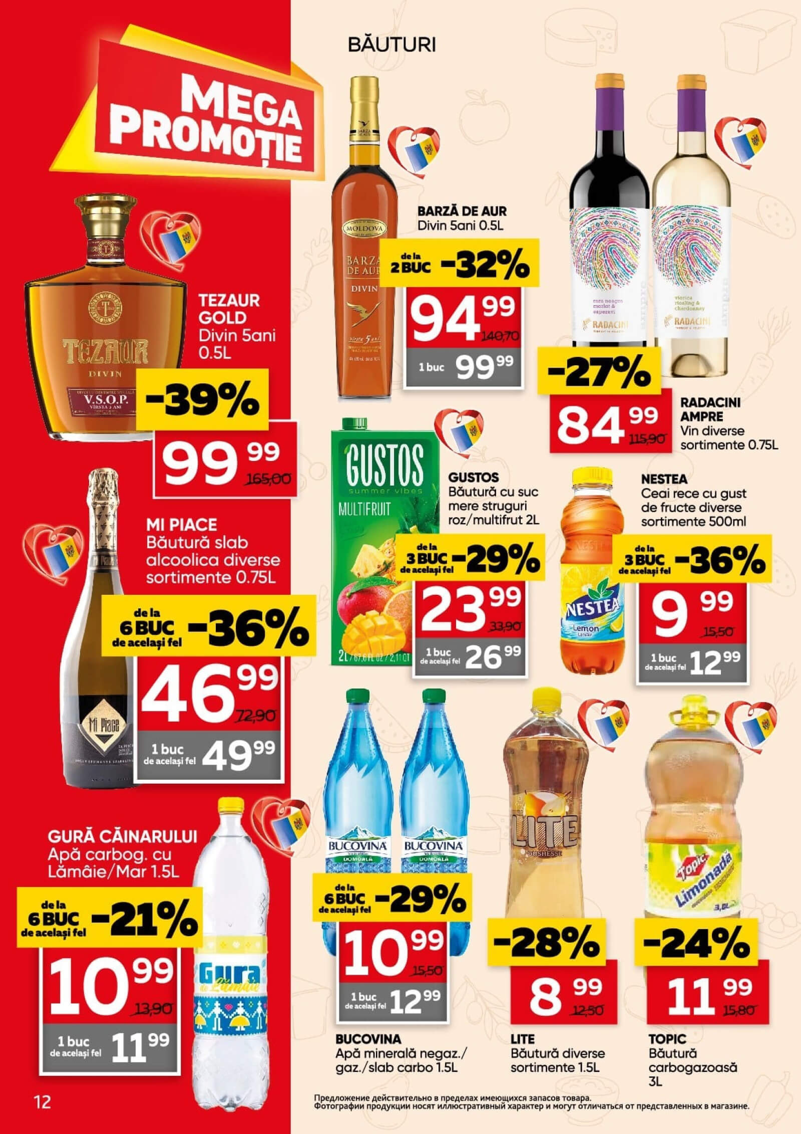 Pagina 12