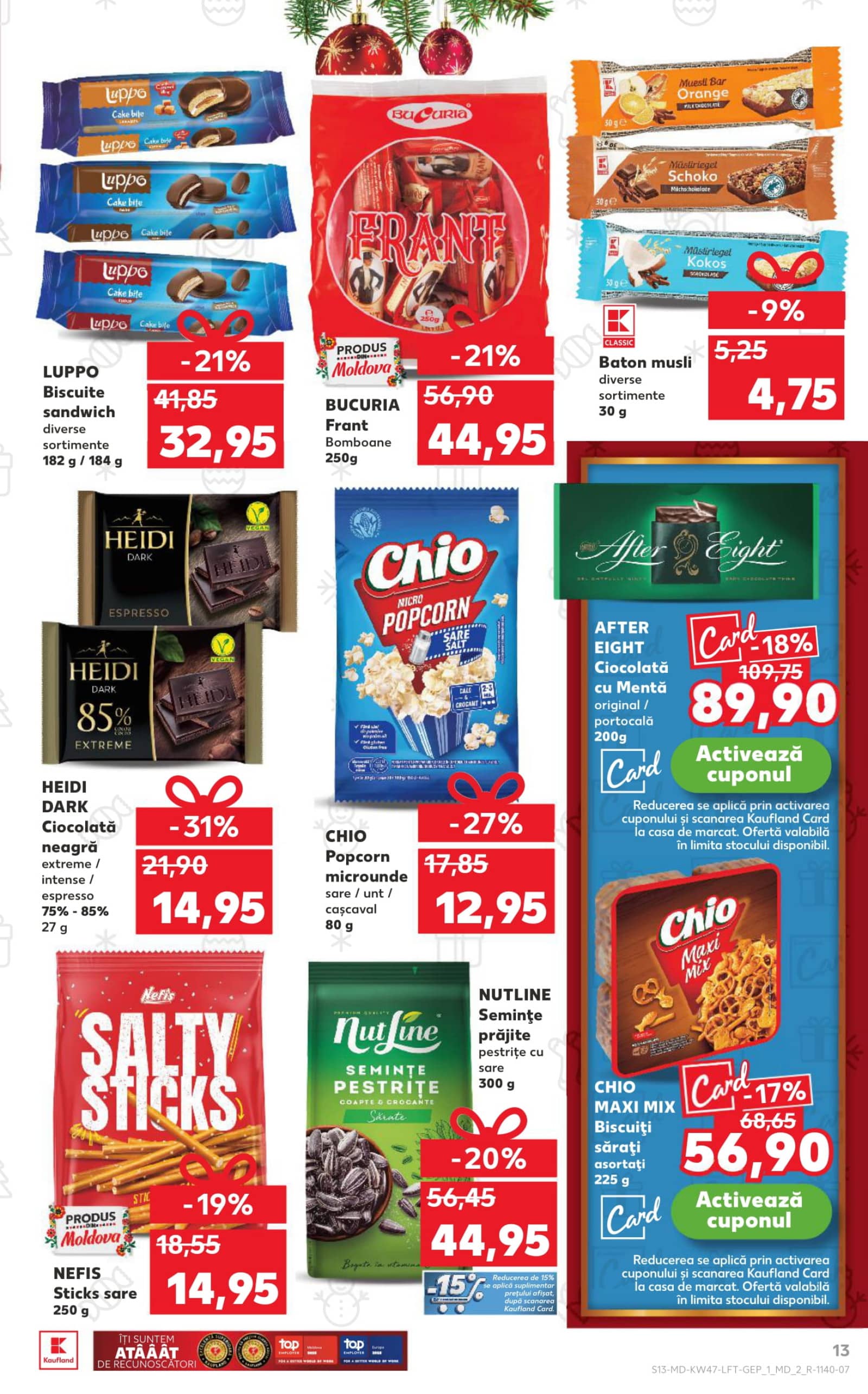 Pagina 13