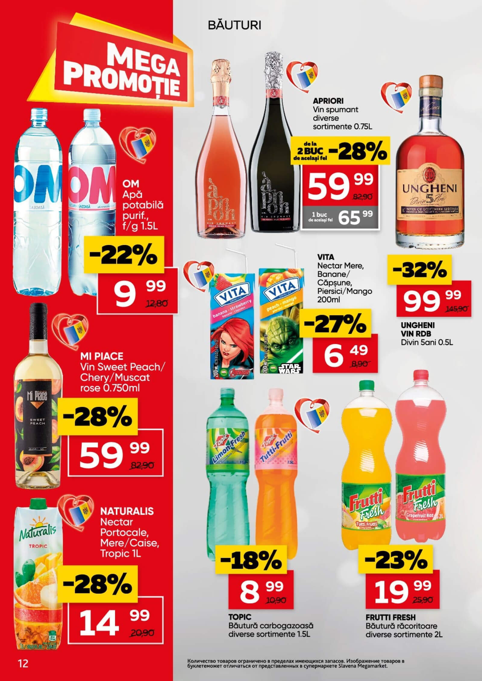 Pagina 12