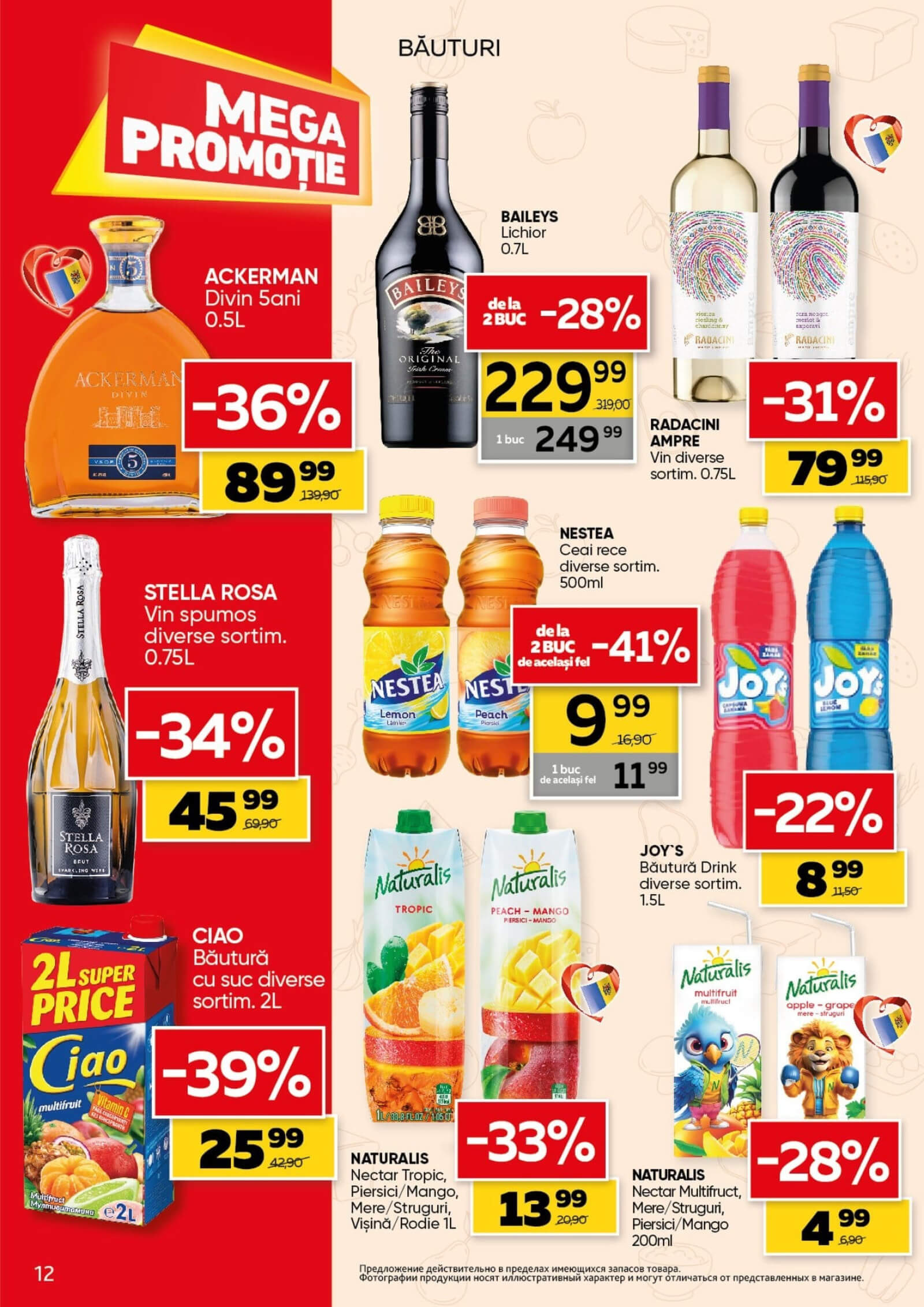 Pagina 12
