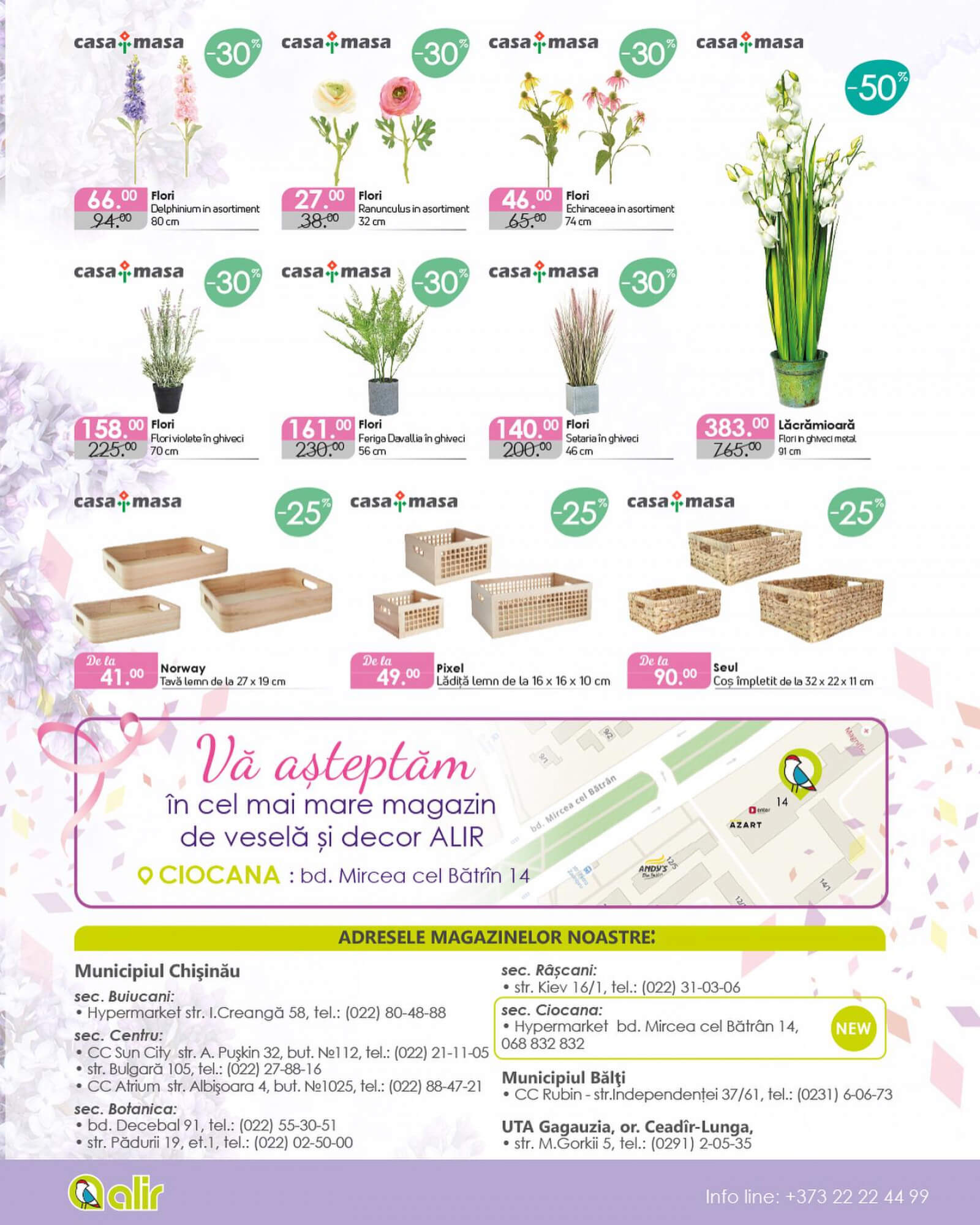 Pagina 10