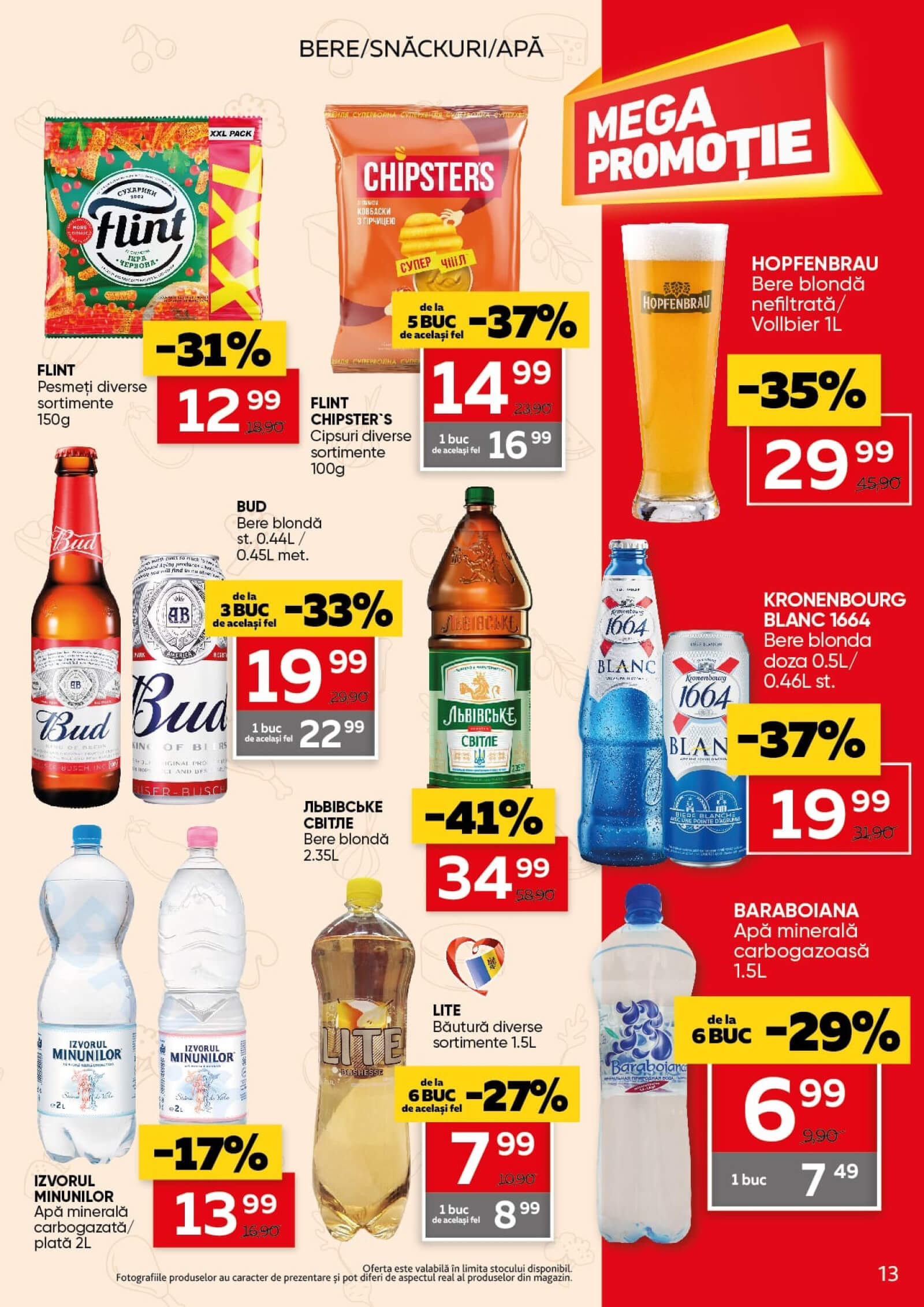 Pagina 13