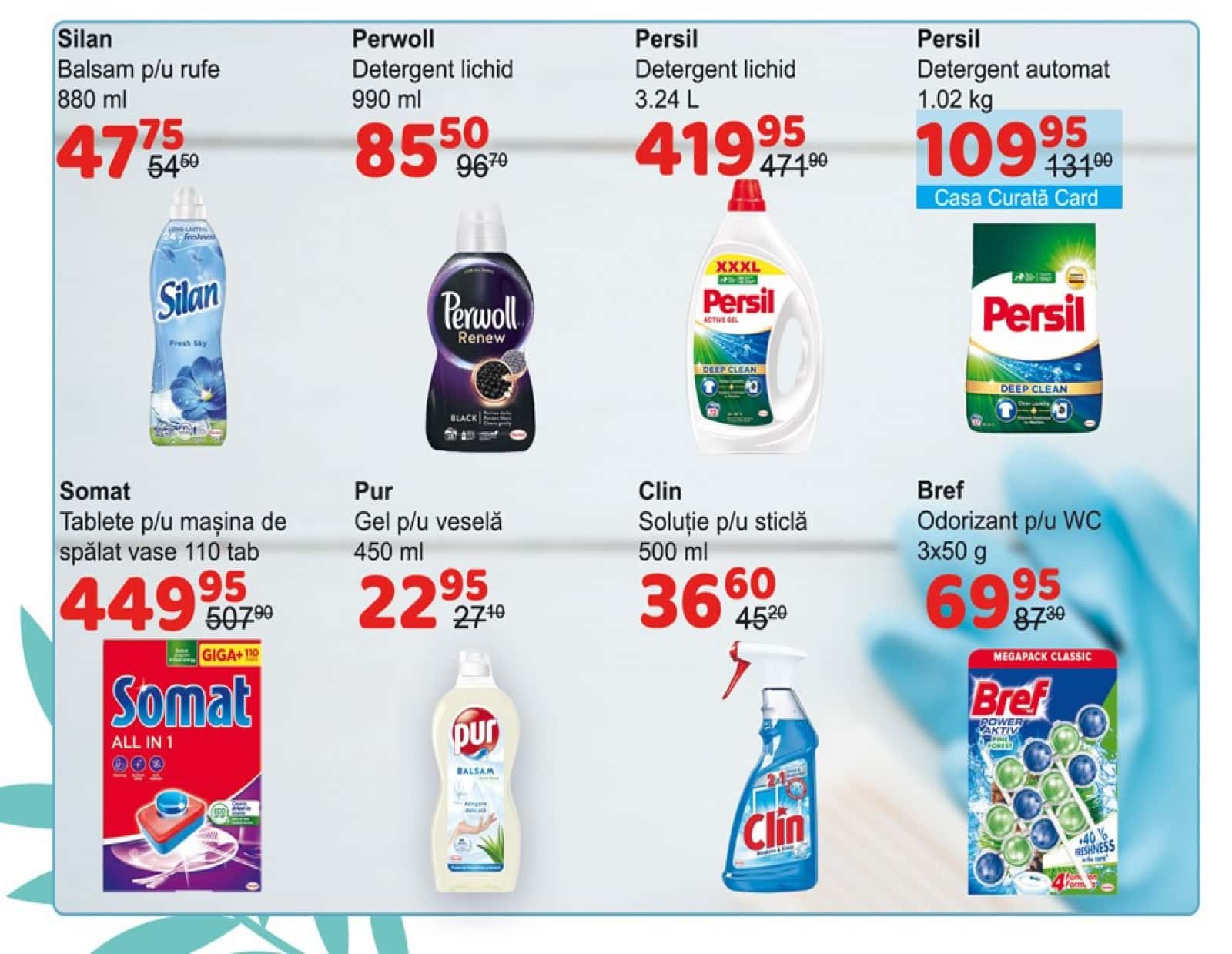 Pagina 12