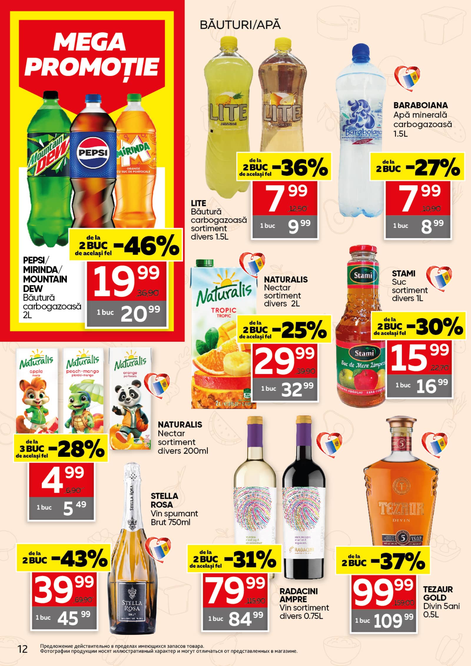 Pagina 12