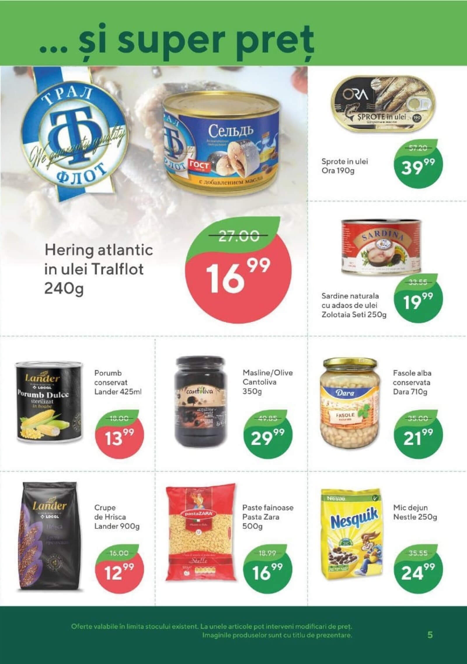 Pagina 5