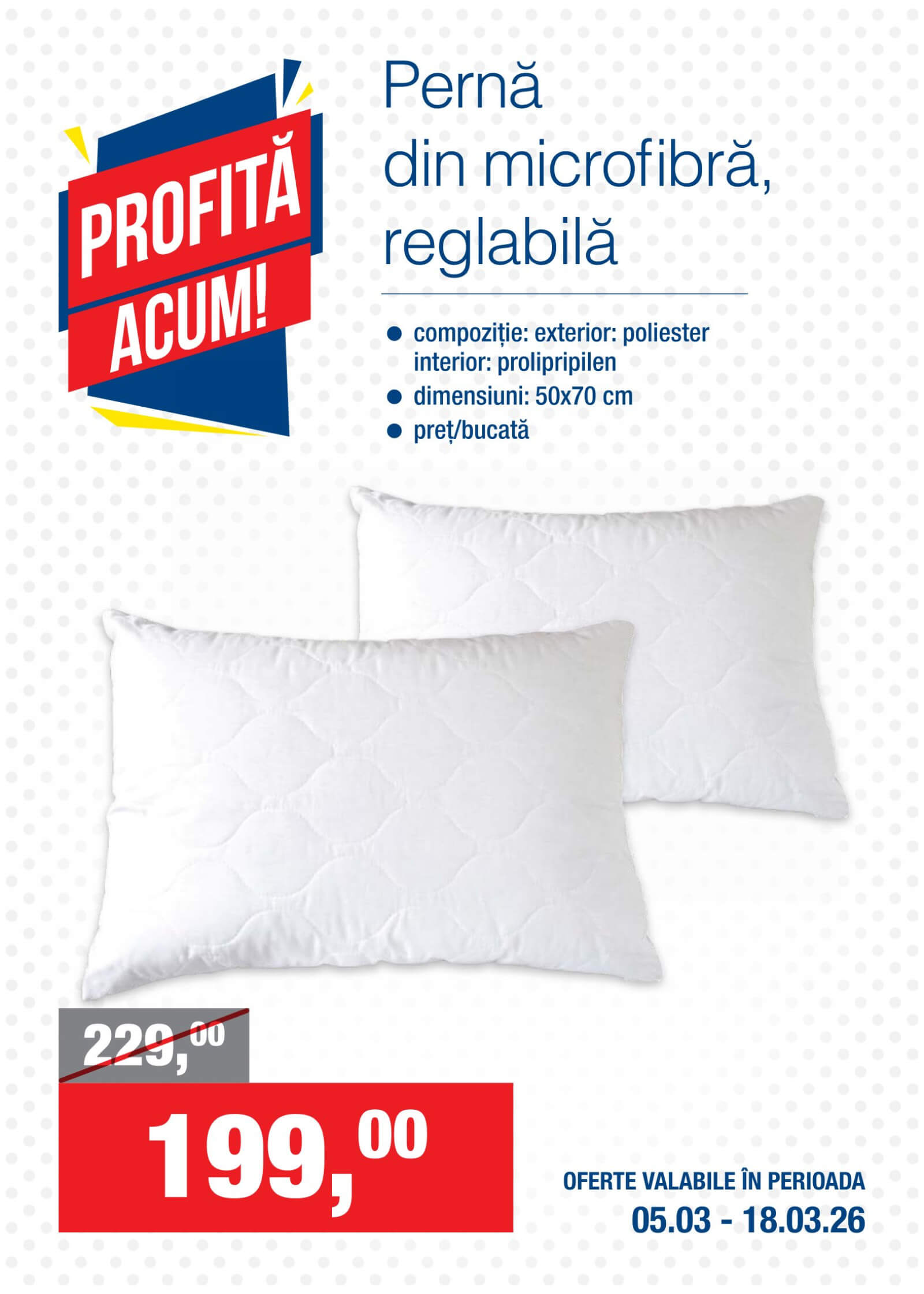 Pagina 12
