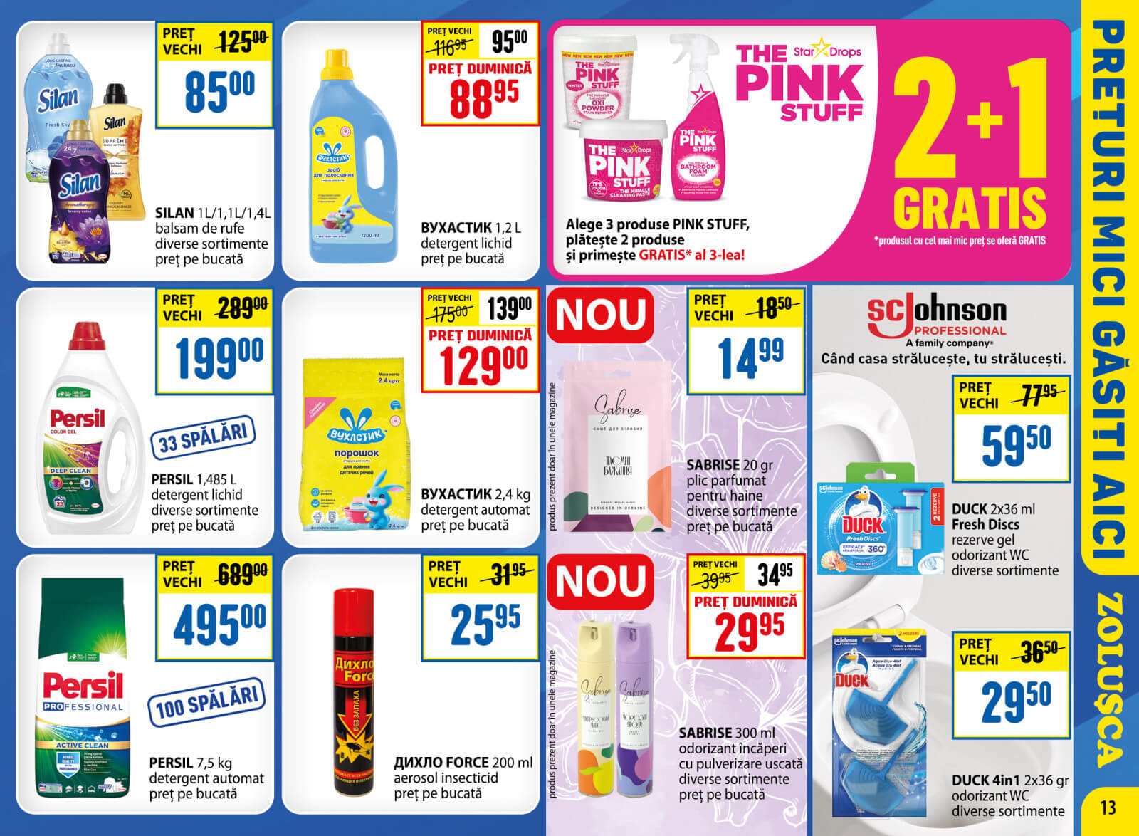 Pagina 13