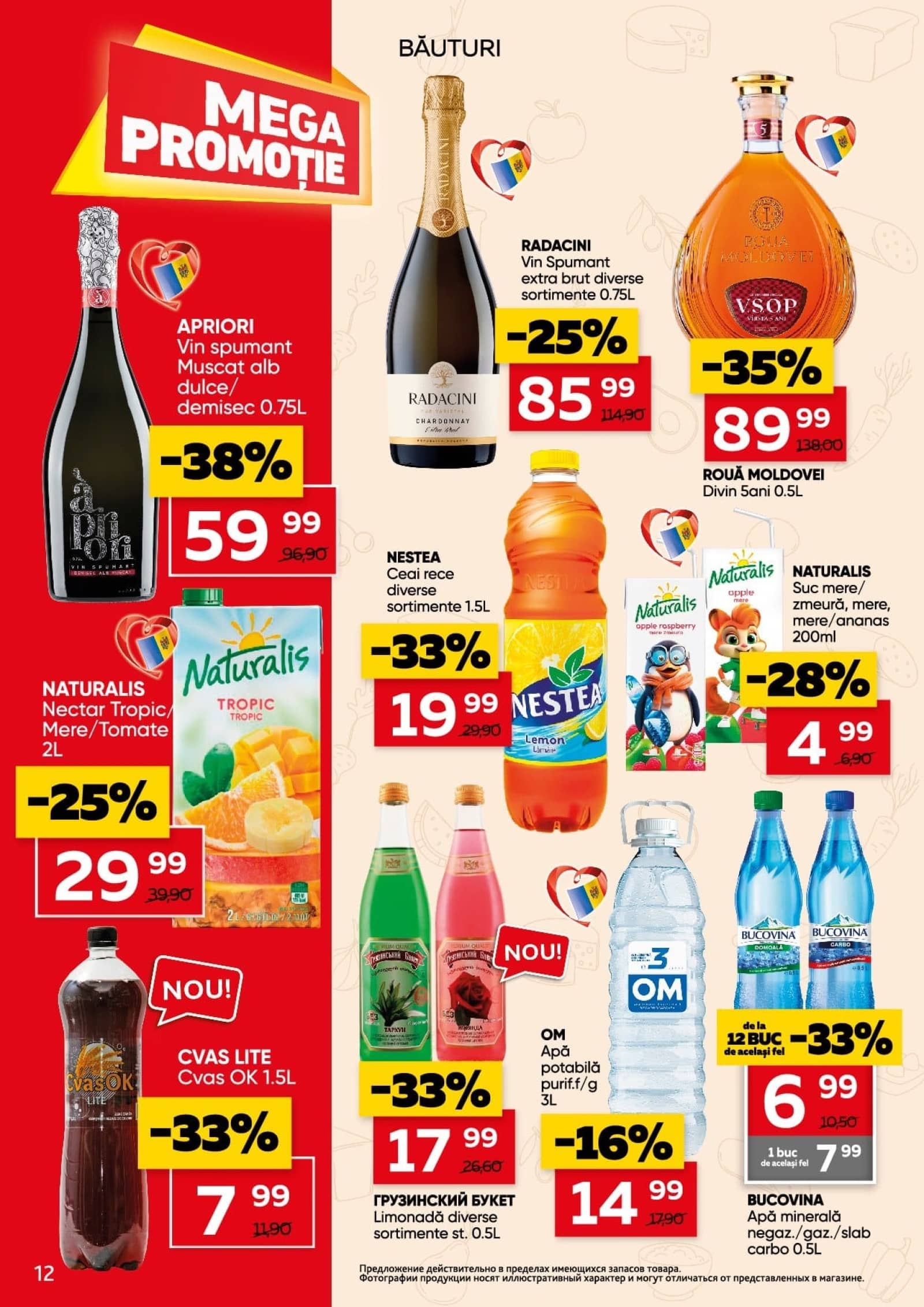 Pagina 12