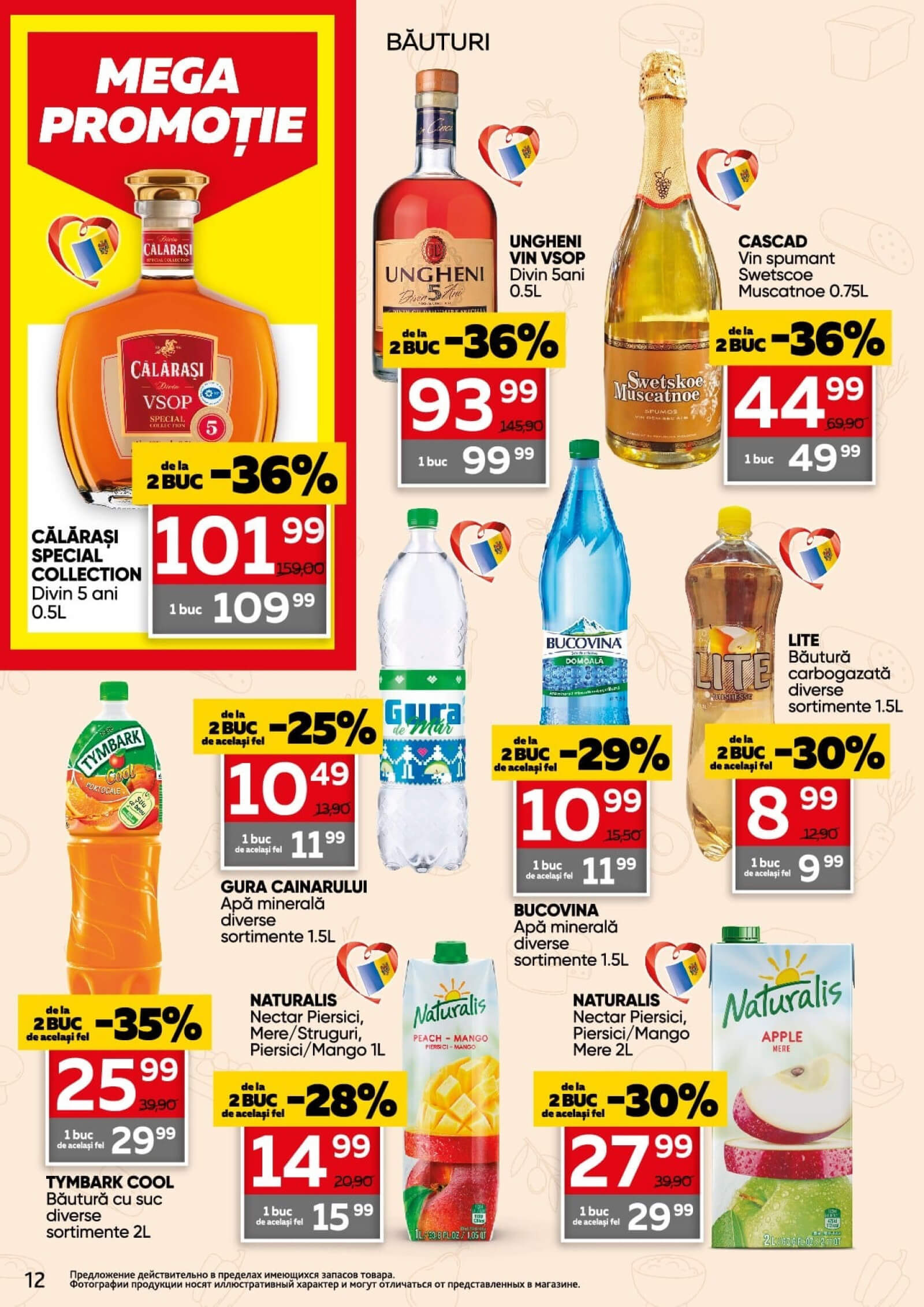 Pagina 12