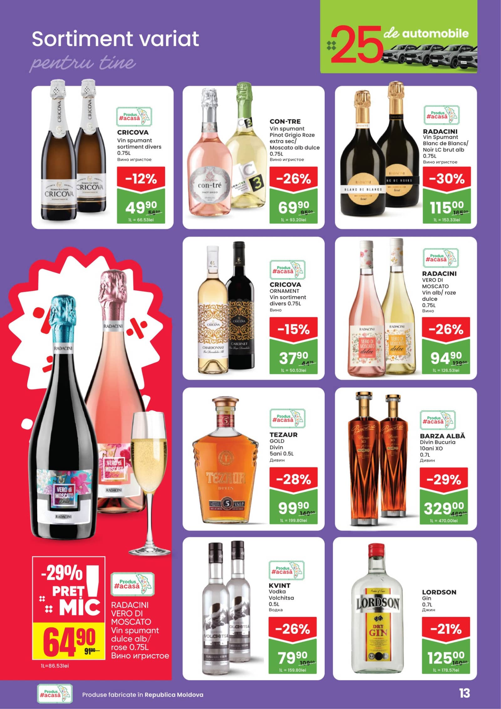 Pagina 13