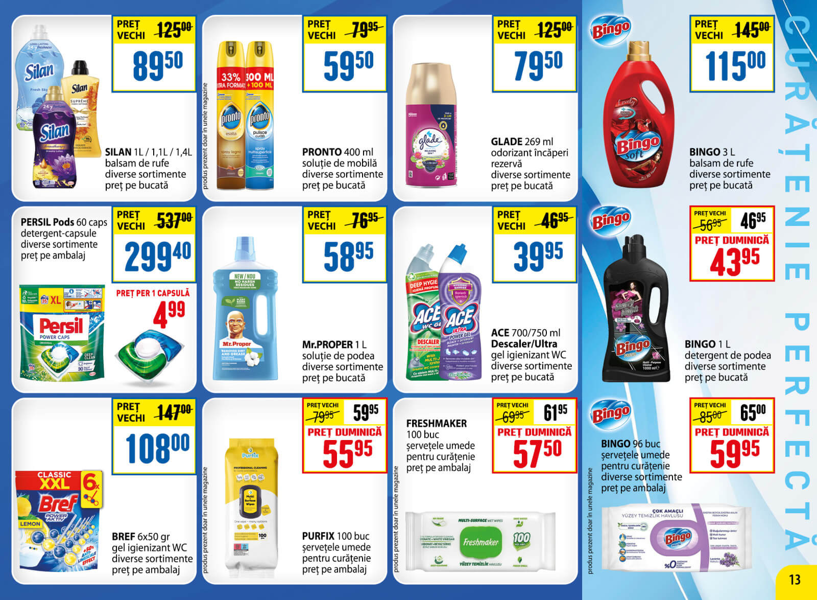 Pagina 13