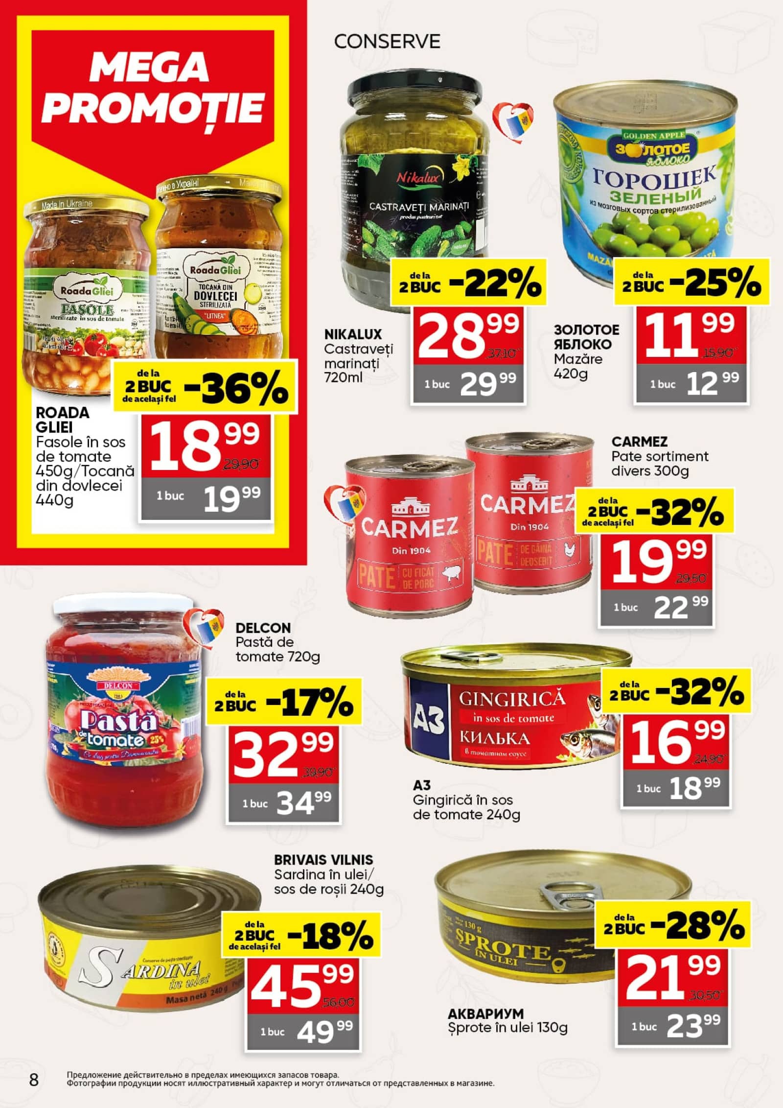 Pagina 8