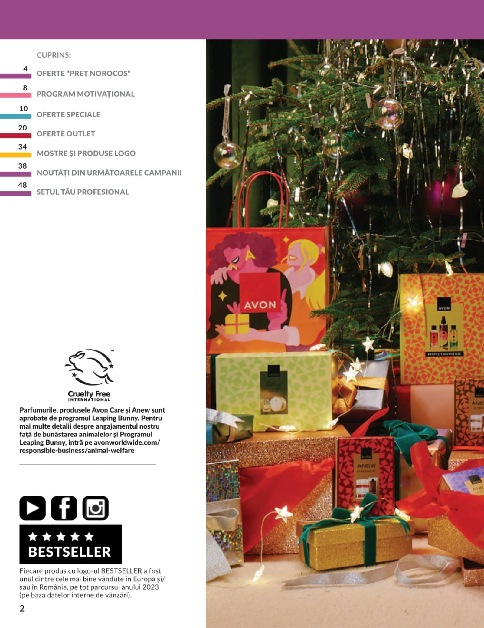 Pagina 2