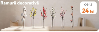 NANU Ramură decorativă