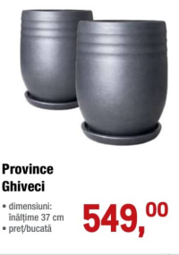 Province Ghiveci înălțime 37 cm