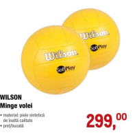 Wilson Minge volei