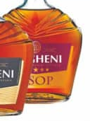 Divin "Ungheni" Sidney, 5 ani, 0.5 L