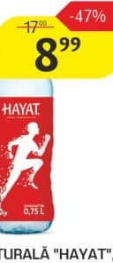 Apă minerală naturală "Hayat", 0,75 L.