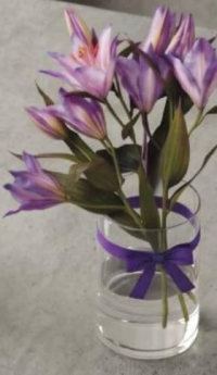 Buchet crini colorați 3 fire înălțime plantă 50 cm buc