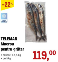 TELEMAR Macrou pentru grătar