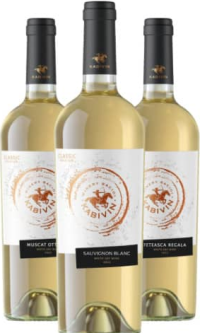 Вино Kabivin Select в ассортименте 0.75л