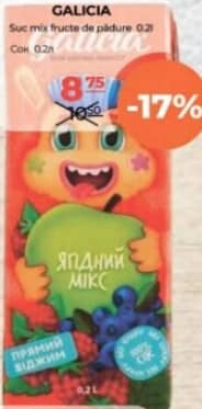 GALICIA Suc mix fructe de pădure 0.2l