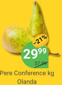Pere Conference kg Olanda