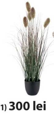 Ederfugl Planta 80 cm