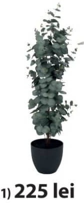 Ripa Plantă Artificială Eucalipt 90 cm