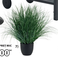 HAVELLE PLANTA Ø85 x H65 cm