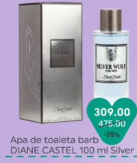 Diane Castel Silver Apă de toaletă bărbați 100 ml