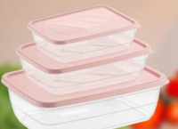 Saklama Container 300 ml