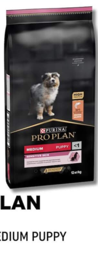 Purina Pro Plan Somon / Medium Puppy 1kg