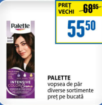 Palette vopsea de păr diverse sortimente