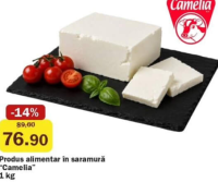 Camelia Produs alimentar în saramură 1 kg
